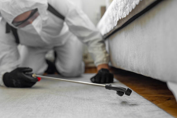 Professional Termite Control technician working in Anson, TX
