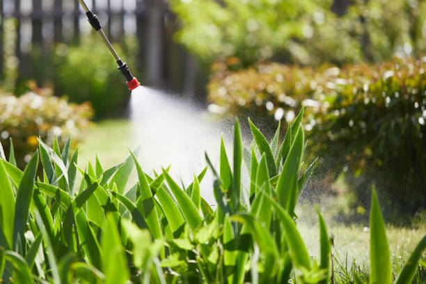 24/7 Emergency Termite Control experts in Anson, TX