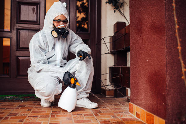 Reliable Termite Control contractor in Anson, TX by Nex Pest Control